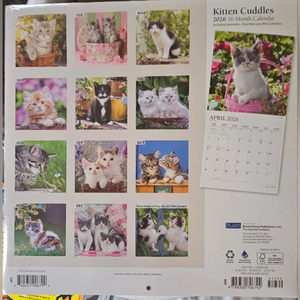 Kitten Cuddles 2025-2026, 16-month Calendar
